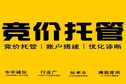 竞价广告效果评估：XX公司如何实现高转化率